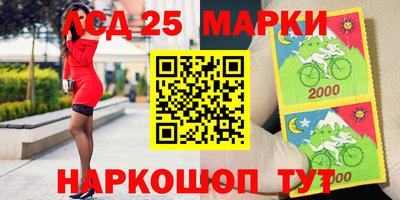шишки Будённовск