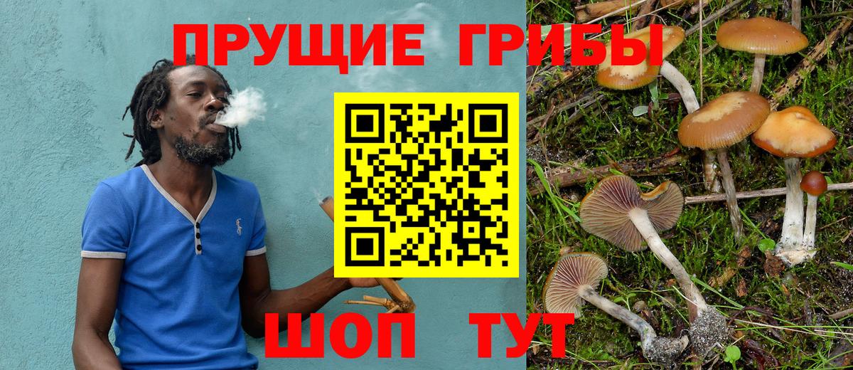 Павлово  Псилоцибиновые грибы Psilocybe  Вход с VPN 